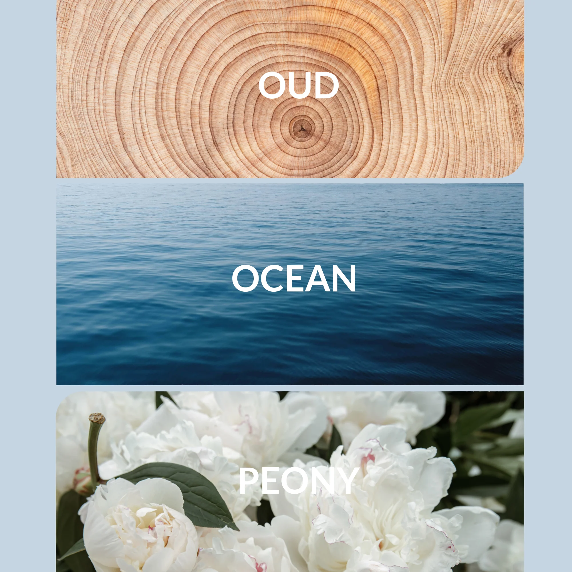 Mother Ocean - Image 2